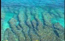 One Island, One Paradise: Blue Xiaoliuqiu_English—Cover