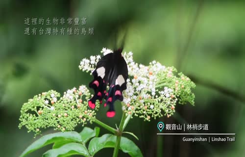  North Coast & Guanyinshan National Scenic Area: Exploring Nature-Chinese Essential Edition