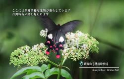  North Coast & Guanyinshan National Scenic Area: Exploring Nature-Japanese Essential Edition