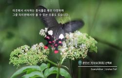  North Coast & Guanyinshan National Scenic Area: Exploring Nature-Korean Essential Edition