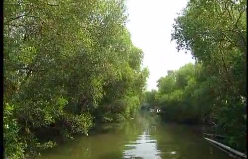  Between Land and Water: Dapeng Bay Wetland and Xiaoliuqiu Intertidal Zone_No Subtitles