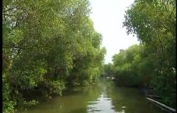  Between Land and Water: Dapeng Bay Wetland and Xiaoliuqiu Intertidal Zone_Japanese