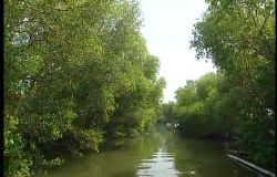  Between Land and Water: Dapeng Bay Wetland and Xiaoliuqiu Intertidal Zone_Hakka