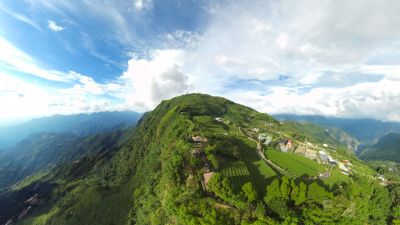 VR Video Shoot Photos: Entertainment Tea-picking Fun, Shizhao, Chiayi 01