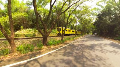 VR Video Shoot Photos: Colors Jiji Green Tunnel, Nantou