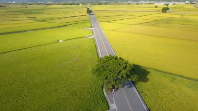 Qianmo Riding Track, Hualien–Taitung East Coast Mountain Road Mr. Brown Avenue 03