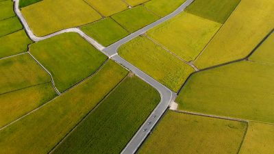 Qianmo Riding Track, Hualien–Taitung East Coast Mountain Road Mr. Brown Avenue 04