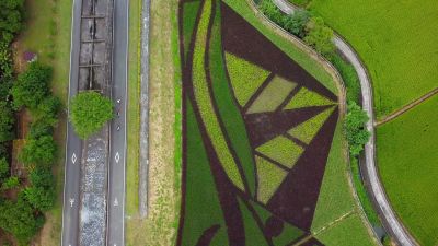 Qianmo Riding Track, Hualien–Taitung East Coast Mountain Road Dongli Station 01