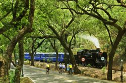  The Green Tunnel