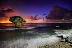  Vase, Waves  and Night Sky