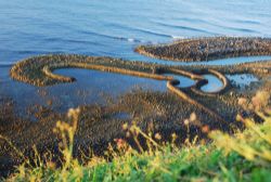  Twin Hearts Stone Weir, Penghu County