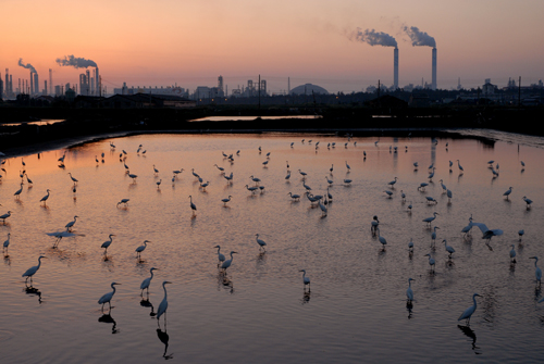  Twilight Scenery of Formosa Petrochemical Area