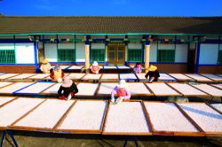  Drying Lotus Root Powder