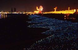  Sea of Lanterns