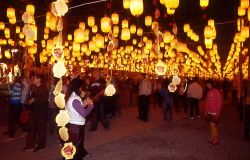  Wishing Lantern Avenue