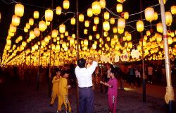  Wishing Lantern Avenue