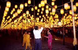  Wishing Lantern Avenue