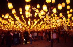  Wishing Lantern Avenue