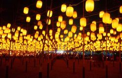  Wishing Lantern Avenue