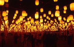  Wishing Lantern Avenue