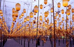  Wishing Lantern Avenue