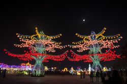  2018 Taiwan Lantern Festival