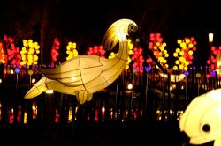  2020 Taiwan Lantern Festival