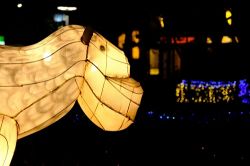  2020 Taiwan Lantern Festival