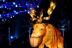  2020 Taiwan Lantern Festival