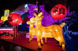  2019 Taiwan Lantern Festival