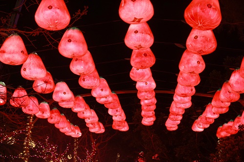  2019 Taiwan Lantern Festival