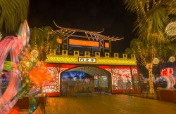  2019 Taiwan Lantern Festival