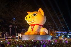  2019 Taiwan Lantern Festival