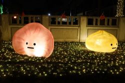  2019 Taiwan Lantern Festival