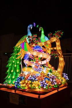  2019 Taiwan Lantern Festival