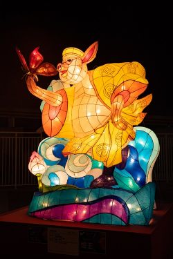  2019 Taiwan Lantern Festival