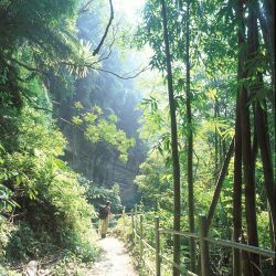  Visiting the Swallow Cliff in Ruili,Alishan