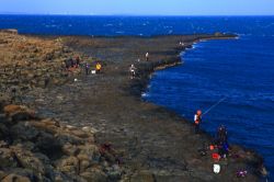  Fishing Paradise