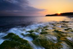  Coastal Dawn