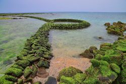  The Forever Legend- Stone Weir