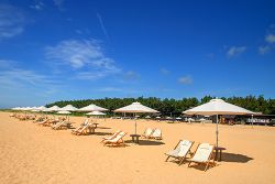  Summer Beach
