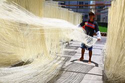  Hand Made Xiwei  Vermicelli