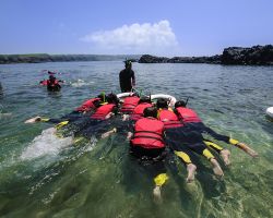  Snorkeling in Yueli Bay