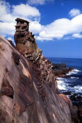  Fascinating Coastal Rock Formations in Taiwan's Northeast Areas