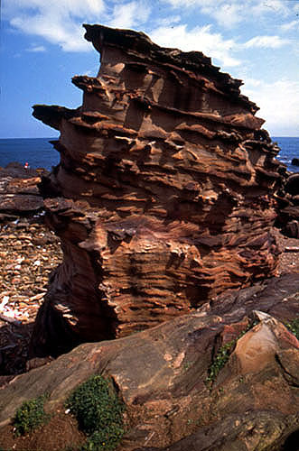  Fascinating Coastal Rock Formations in Taiwan's Northeast Areas