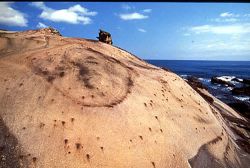  Fascinating Coastal Rock Formations in Taiwan's Northeast Areas