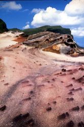  Fascinating Coastal Rock Formations in Taiwan's Northeast Areas