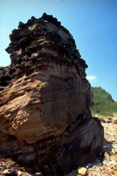  Fascinating Coastal Rock Formations in Taiwan's Northeast Areas