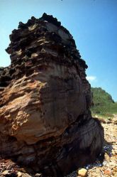  Fascinating Coastal Rock Formations in Taiwan's Northeast Areas