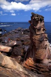  Fascinating Coastal Rock Formations in Taiwan's Northeast Areas